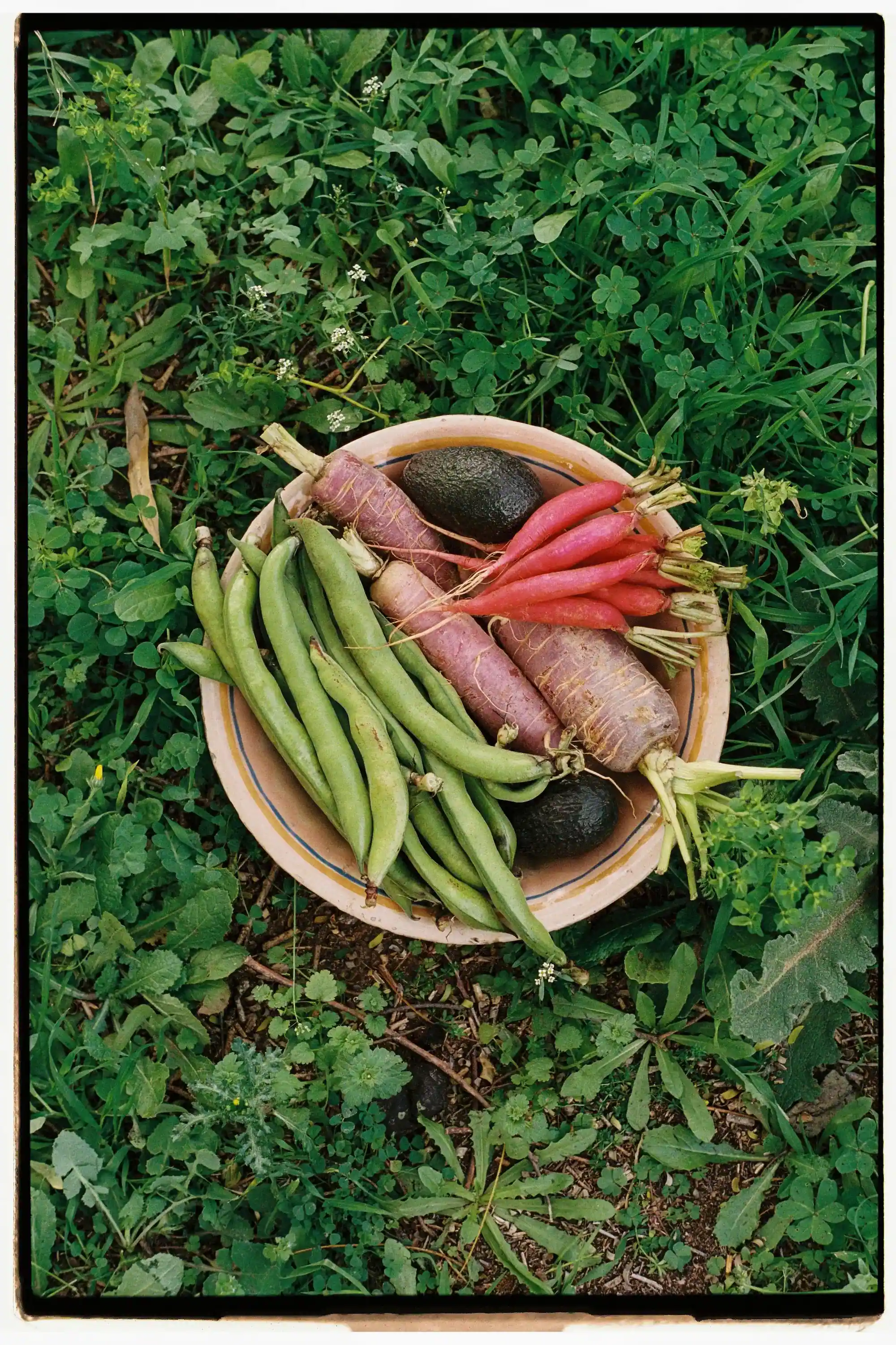 Bol con verduras frescas